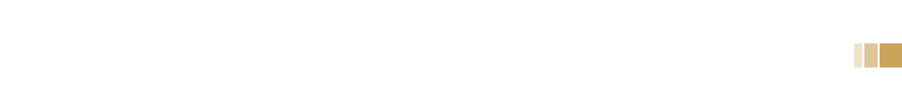 Bauer Walser Logo